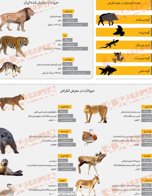 عکس حیوانات در حال انقراض ایران