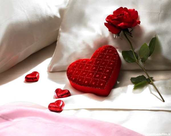 عکس گل قلبی برای پروفایل واتساپ