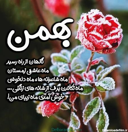 عکس نوشته بهمن ماه