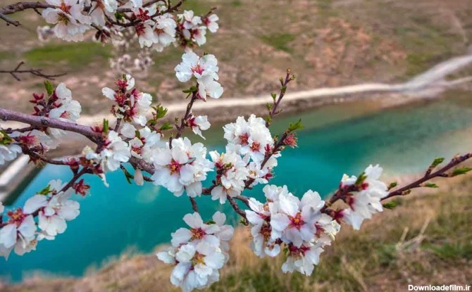 عکس بهار ایران