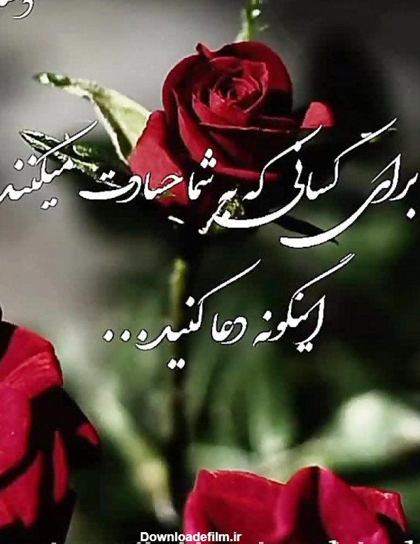 عکس گل نوشته های زیبا