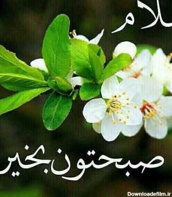 کانال عکس نوشته سلام صبح بخیر