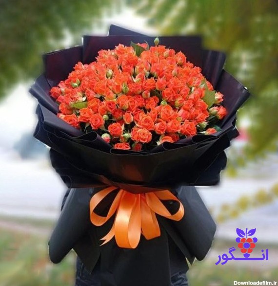 عکسهای گل رز نارنجی