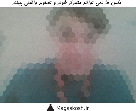 تصاویر چشم مگس