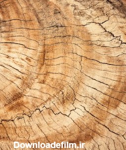 تصویر زمینه قلب صورتی