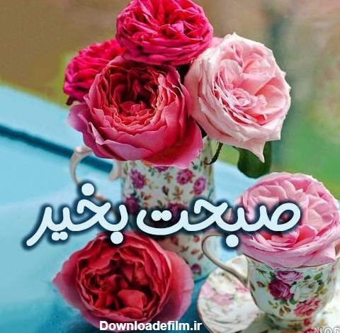 عکس نوشته گل صبح بخیر