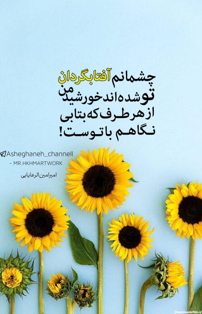 عکس نوشته گل آفتابگردان