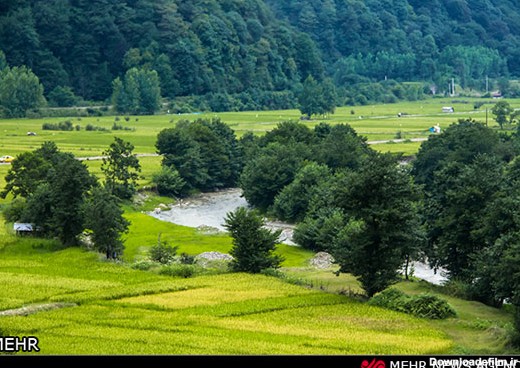 عکس طبیعت شمال ایران