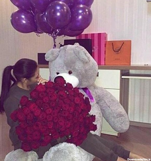 عکس خرس کیوت واقعی