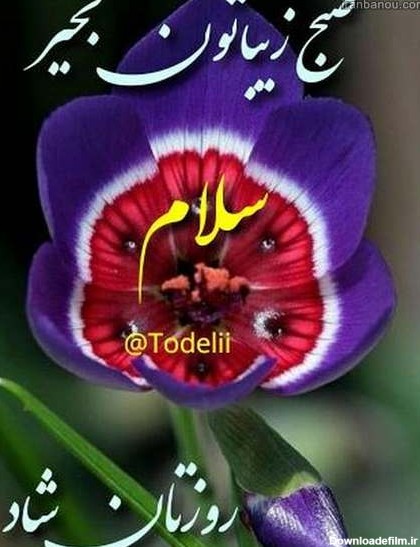 عکس نوشته سلام روز بخیر