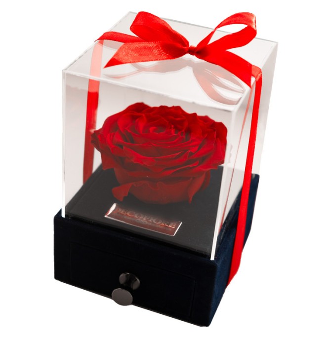 عکس گل رز برای هدیه