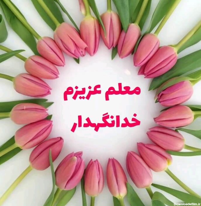 عکس برای خدانگهدار