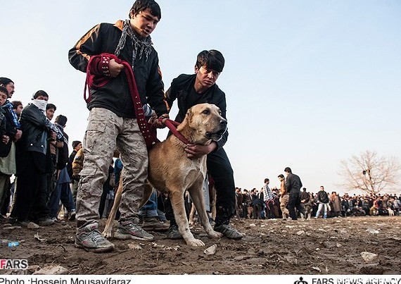 عکس دختر افغانی ساده ۱۶ ساله