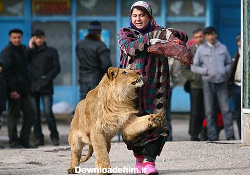 عکس شیر زنان لر