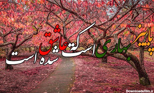 عکس طبیعت عاشقانه