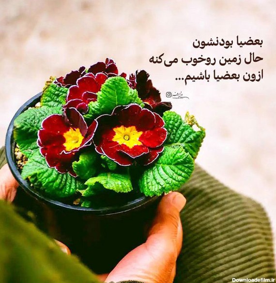 عکس نوشته ناب مفهومی