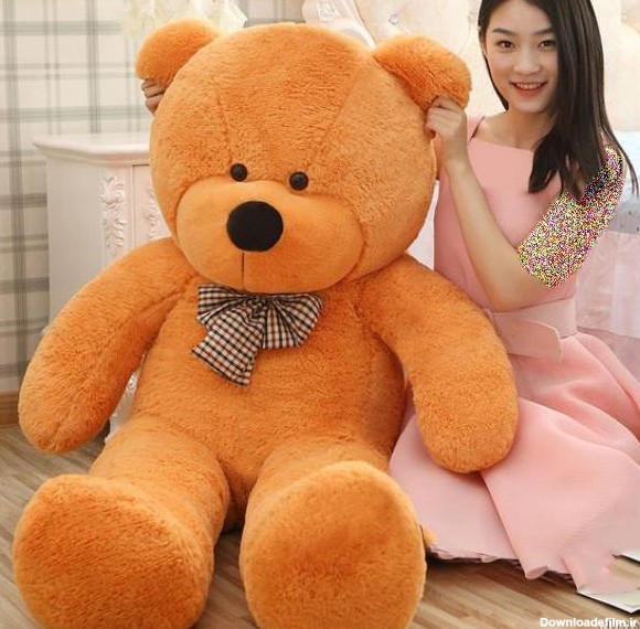 عکس خرس کیوت واقعی