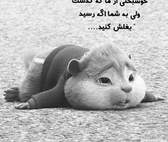 عکس پروفایل طوسی ساده