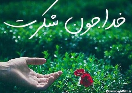 دانلود عکس نوشته تشکر از خدا