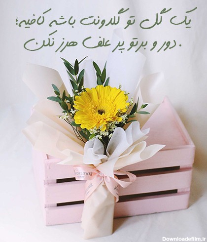 عکس نوشته درمورد گل