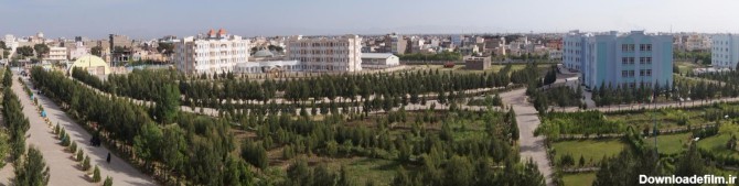 عکس های جالب طبی