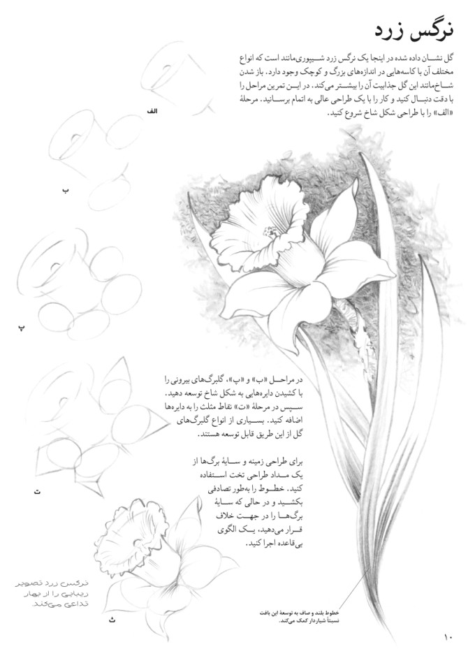 عکس یک گل برای طراحی