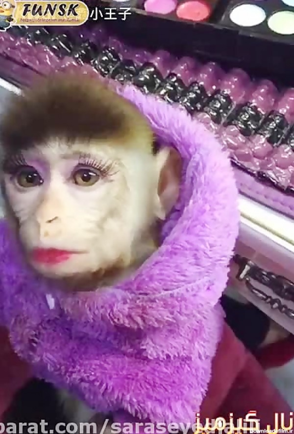 عکس خنده دار برای استوری