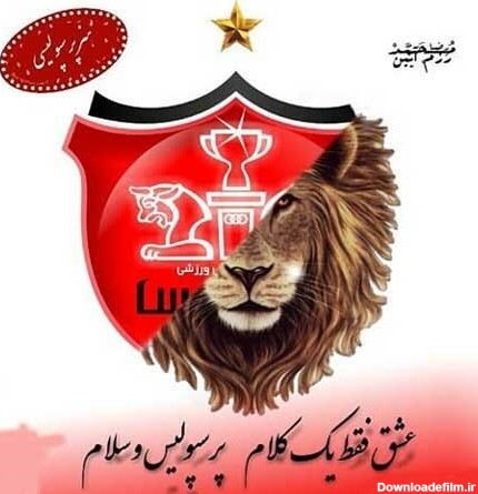 عکس شیر برای پروفایل پرسپولیس