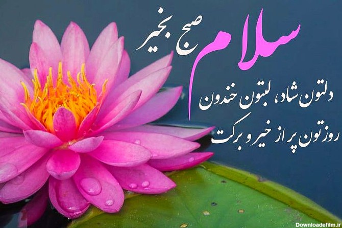 عکس گل نوشته سلام صبح بخیر