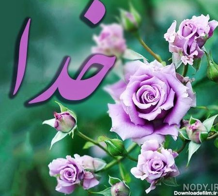 عکس گل برای خدا