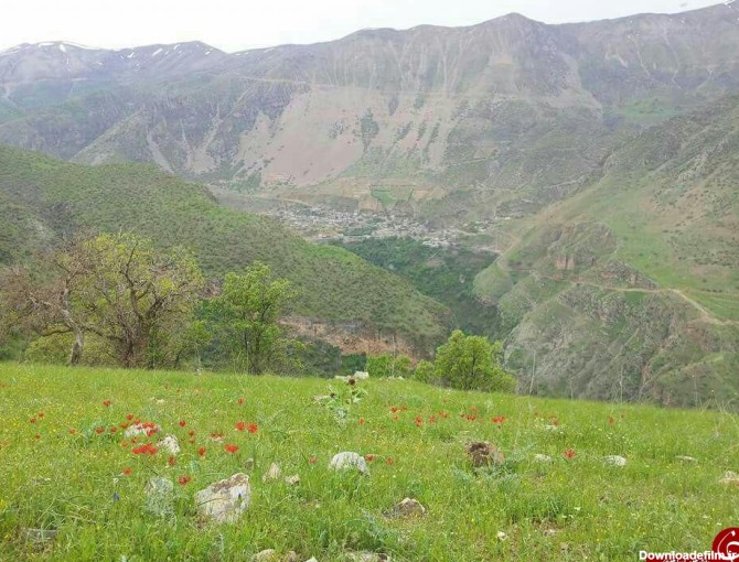 عکس طبیعت پاوه