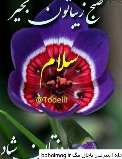 دانلود عکس نوشته سلام صبح بخیر جدید