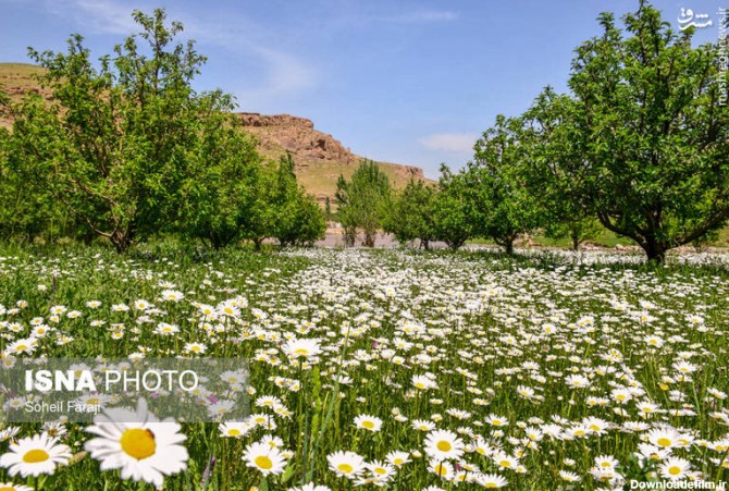 عکسهایی از طبیعت ارومیه