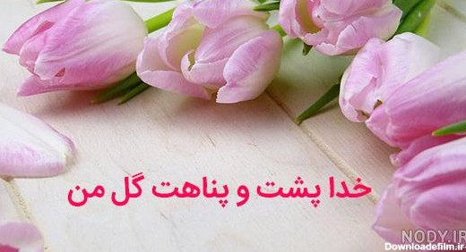 عکس نوشته خدا حفظش کنه