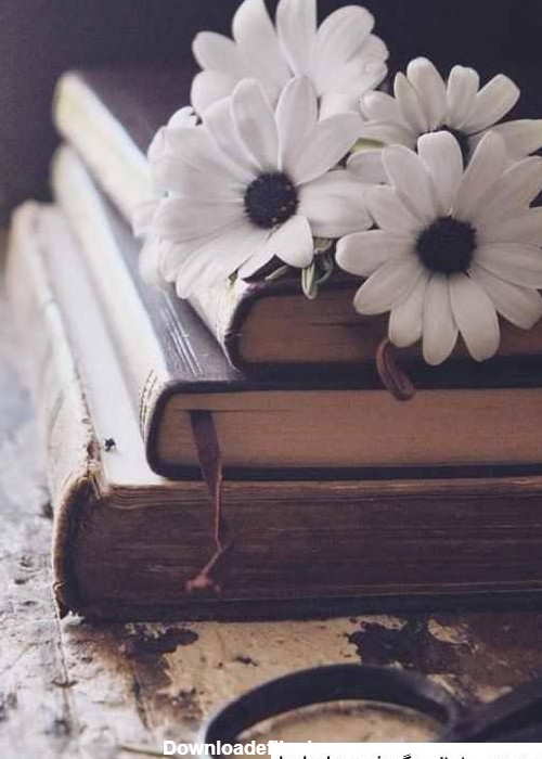 عکس دختر در حال کتاب خواندن برای پروفایل