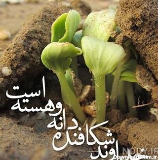 عکس نوشته عظمت خداوند