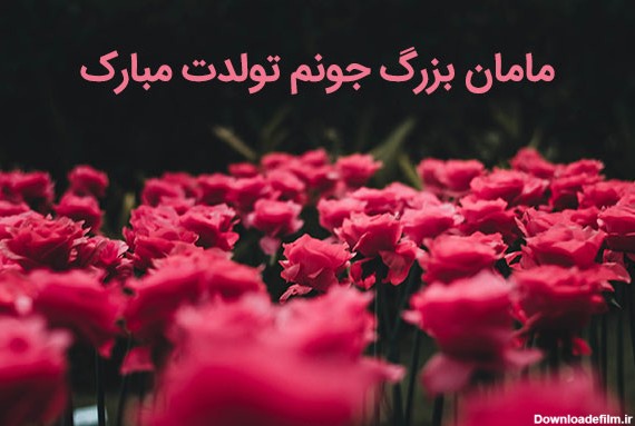 عکس تولد مامان بزرگ