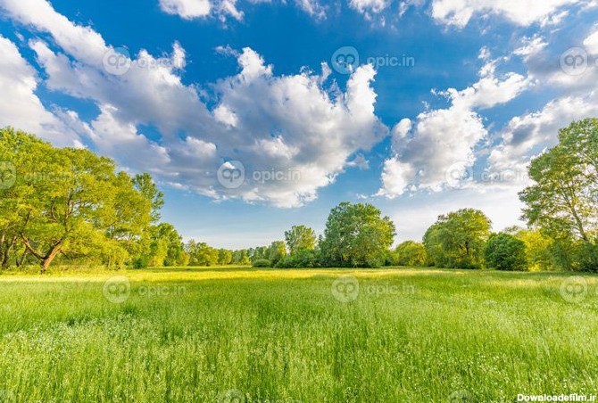 عکس چمن برای ادیت