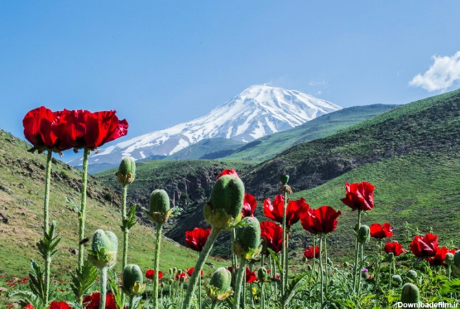 عکس منظره ایران