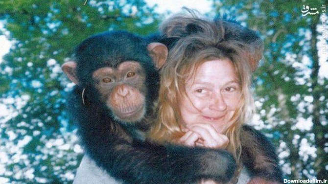عکس میمون زن و شوهر
