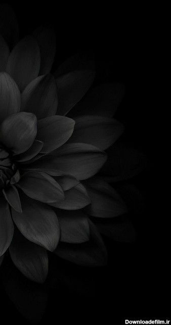 عکس زمینه تیره رنگ