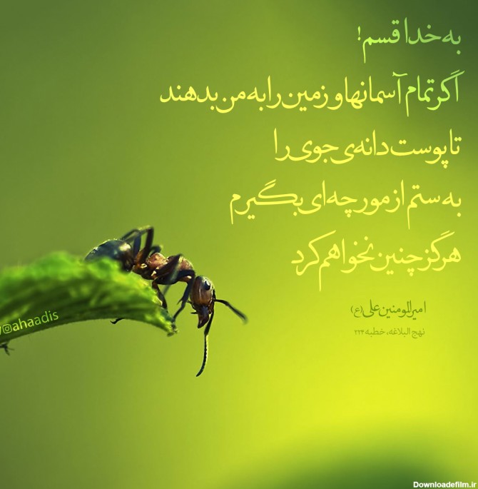 عکس نوشته در مورد ظلم