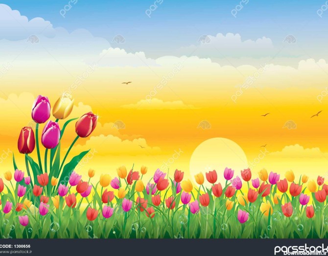 عکس چمن برای ادیت