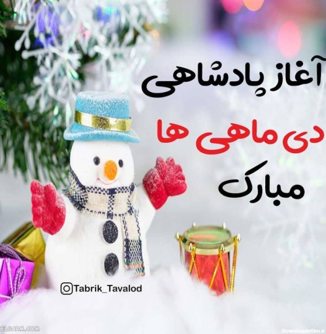 عکس از دی ماهی ها