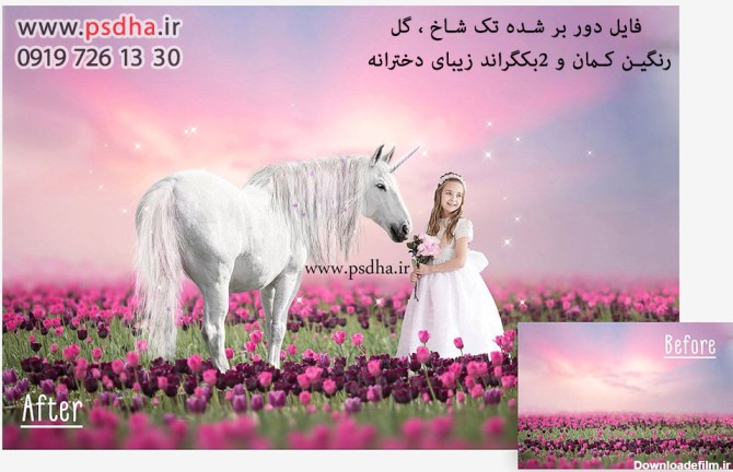 عکس اسب رنگین کمان واقعی