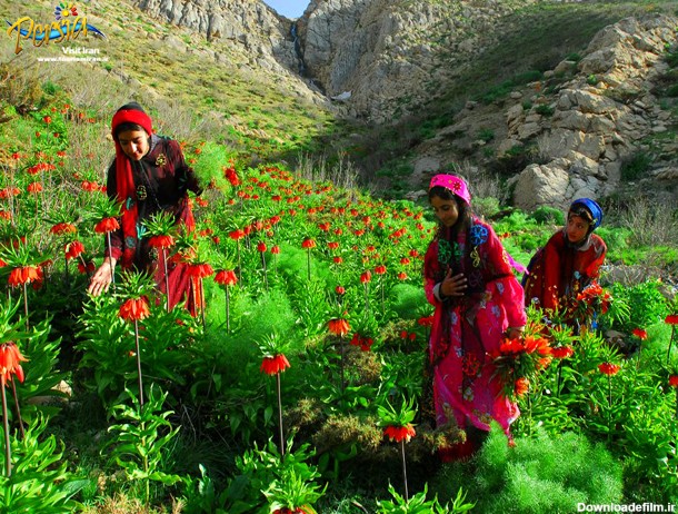 عکس هایی از طبیعت زیبای ایران