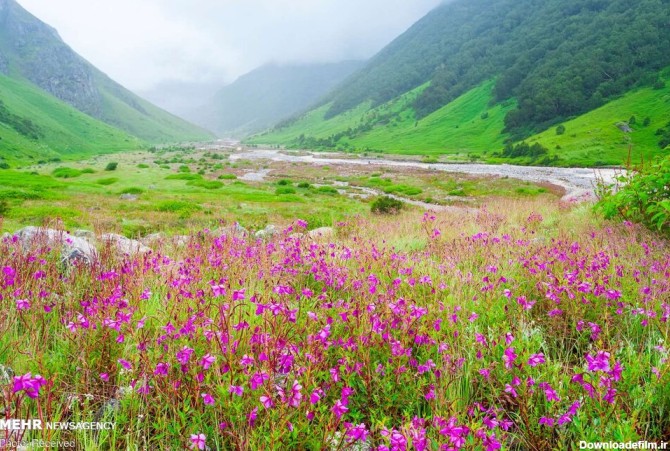 عکسهای زیبای بهاری