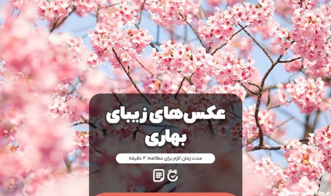 عکس بهاری سال نو