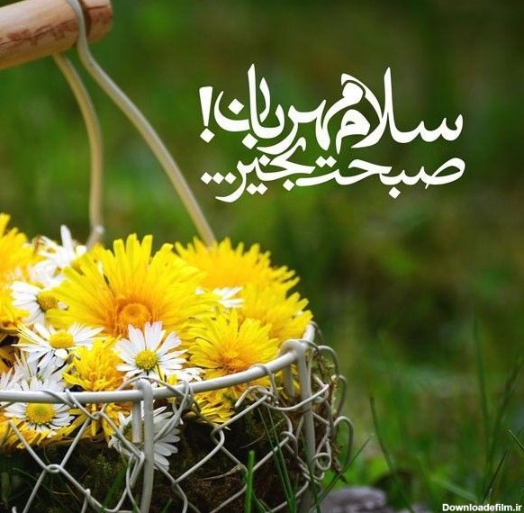 تصاویر زیبا برای سلام و صبح بخیر