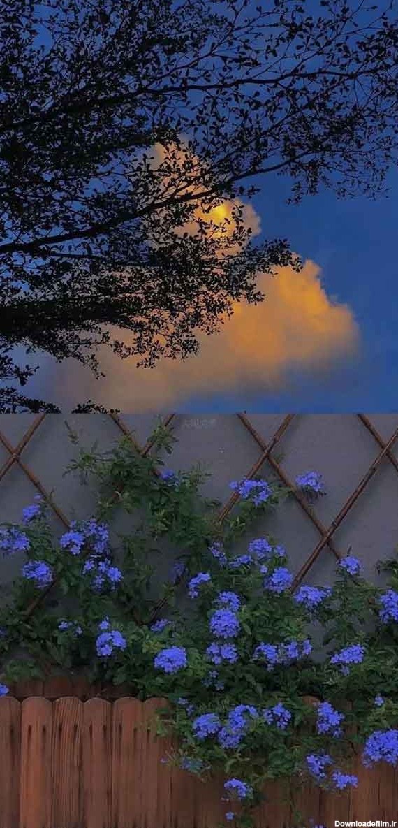 عکس چمن برای ادیت